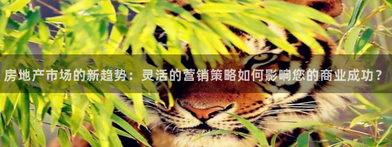 新宝gg5：房地产市场的新趋势：灵活的营销策略如何影响您的商