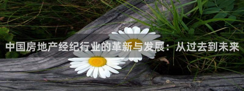 新宝5内部：中国房地产经纪行业的革新与发展：从过去到未来
