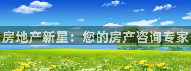 新宝5账号注册：房地产新星：您的房产咨询专家