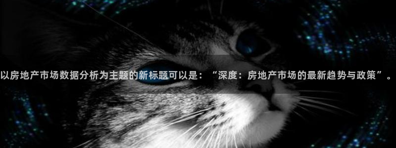 新宝5培训：以房地产市场数据分析为主题的新标题可以是：“深度