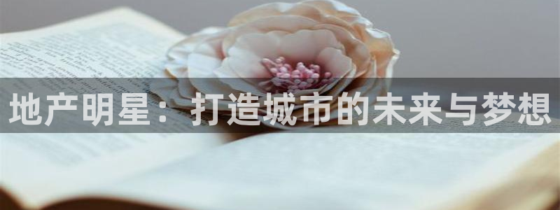 新宝j2O5O5O：地产明星：打造城市的未来与梦想