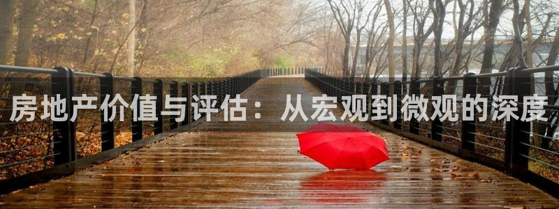 新宝5链接：房地产价值与评估：从宏观到微观的深度