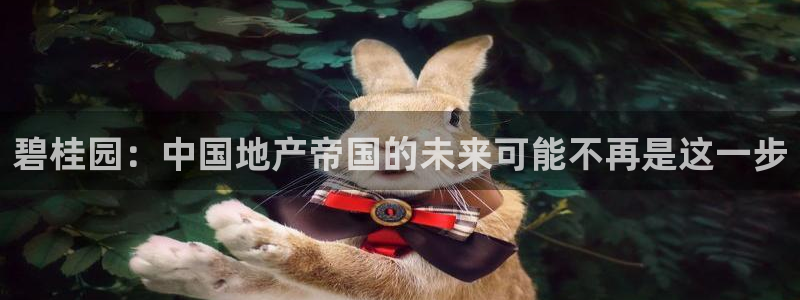 新宝那2O5O5O：碧桂园：中国地产帝国的未来可能不再是这一