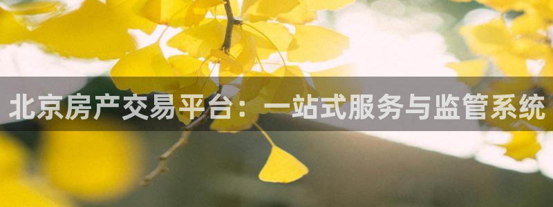 新宝5手机平台登陆：北京房产交易平台：一站式服务与监管系统