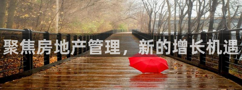 新宝5注册登录：聚焦房地产管理，新的增长机遇
