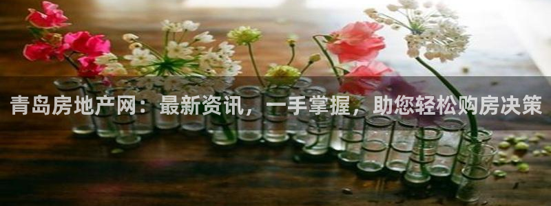 新宝5平台咋样：青岛房地产网：最新资讯，一手掌握，助您轻松购