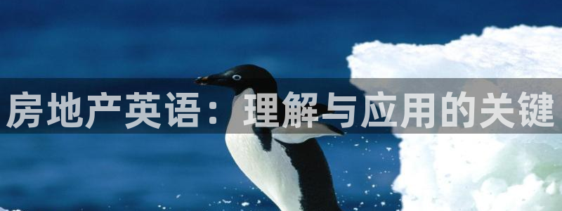 新宝5娱乐方：房地产英语：理解与应用的关键