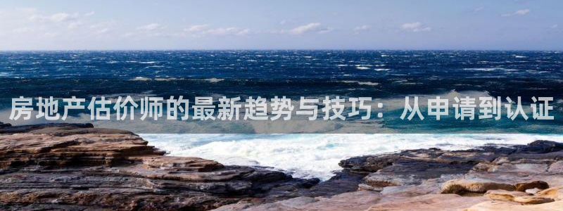 新宝5平台登陆：房地产估价师的最新趋势与技巧：从申请到认证