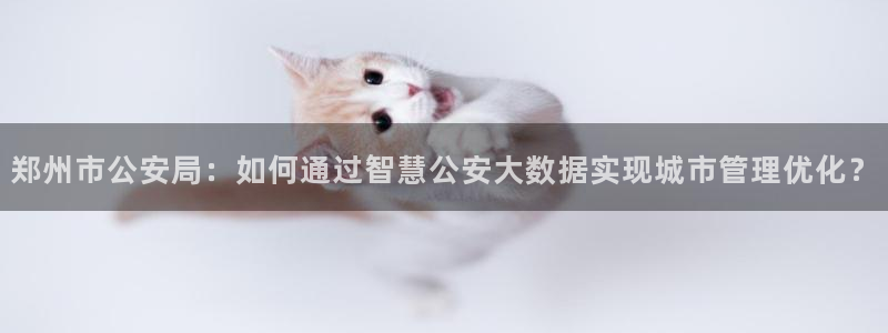 新宝5平台注册：郑州市公安局：如何通过智慧公安大数据实现城市
