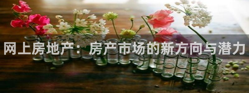 新宝5首页：网上房地产：房产市场的新方向与潜力