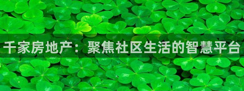 5新宝：千家房地产：聚焦社区生活的智慧平台
