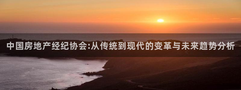 新宝5手机app：中国房地产经纪协会:从传统到现代的变革与未