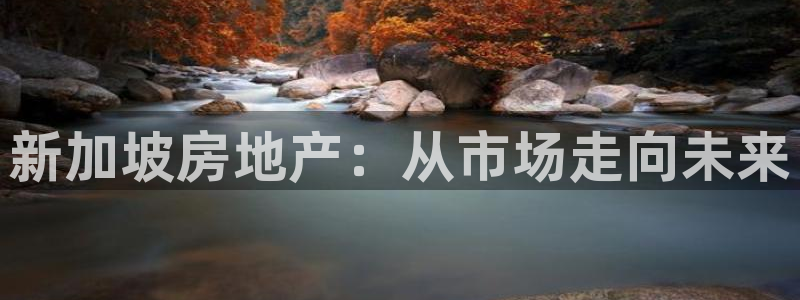 新宝rm5：新加坡房地产：从市场走向未来