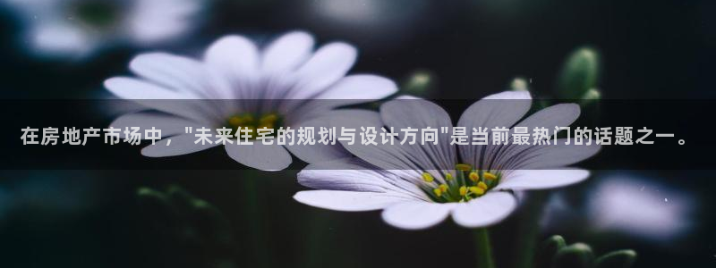 新宝5总代：在房地产市场中，\