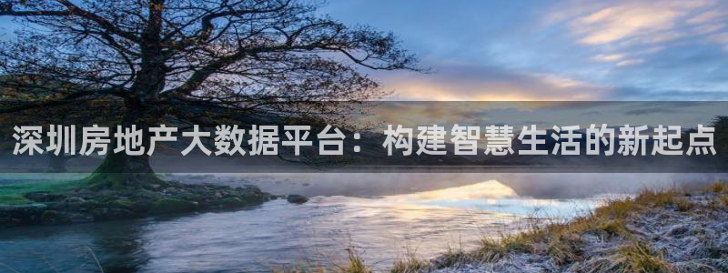 新宝5登陆：深圳房地产大数据平台：构建智慧生活的新起点