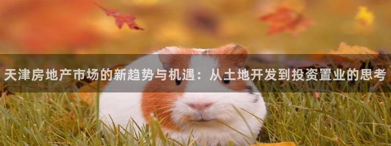 新宝5褚74OOO5：天津房地产市场的新趋势与机遇：从土地开