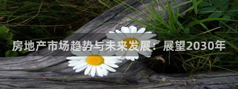 新宝5娱乐没：房地产市场趋势与未来发展：展望2030年