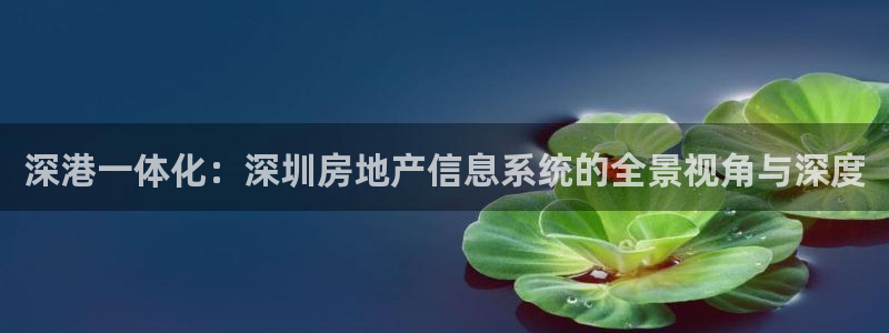新宝5飞355051：深港一体化：深圳房地产信息系统的全景视