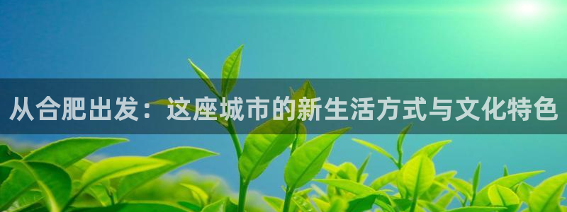 新宝5网站