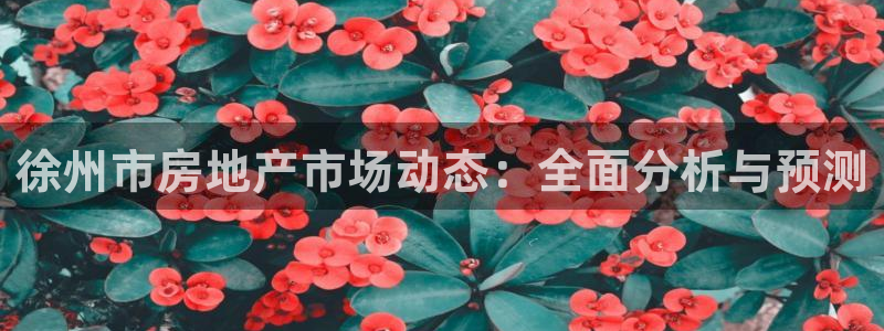 新宝5招商：徐州市房地产市场动态：全面分析与预测