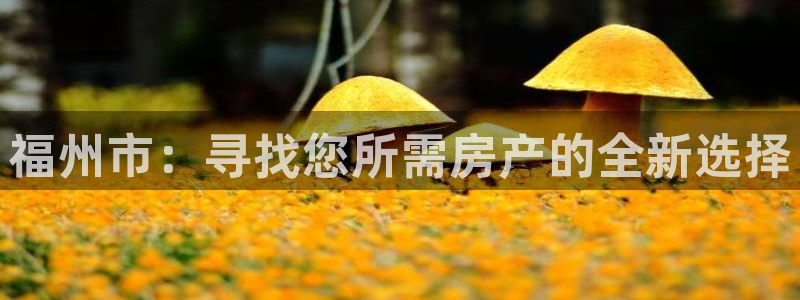 新宝5 测速：福州市：寻找您所需房产的全新选择