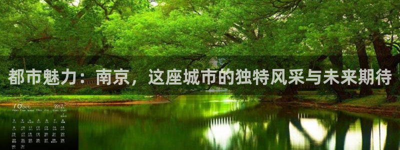 新宝5测速线路：都市魅力：南京，这座城市的独特风采与未来期待