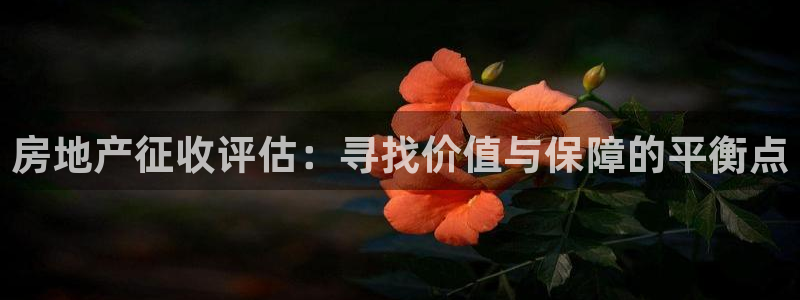 新宝5娱乐然：房地产征收评估：寻找价值与保障的平衡点