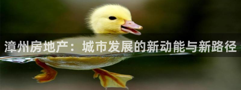 新宝5测速平台登录：漳州房地产：城市发展的新动能与新路径