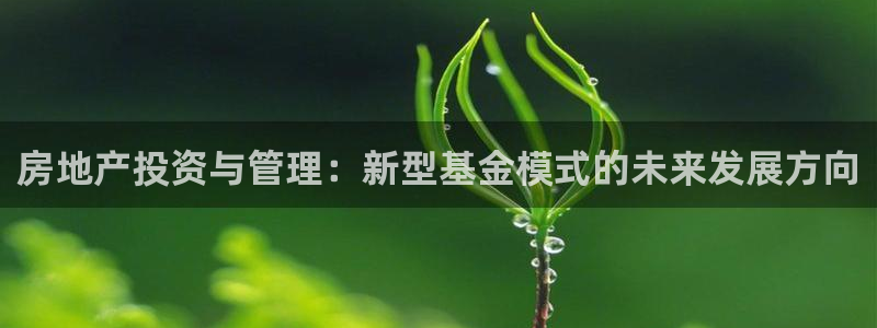 新宝测速5：房地产投资与管理：新型基金模式的未来发展方向
