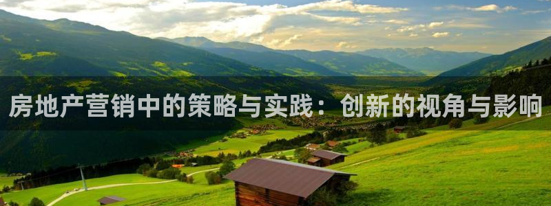 新宝5手机下载：房地产营销中的策略与实践：创新的视角与影响