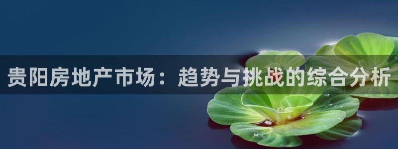 新宝5登录地址：贵阳房地产市场：趋势与挑战的综合分析
