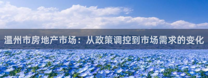 新宝堂新会陈皮5年：温州市房地产市场：从政策调控到市场需求的