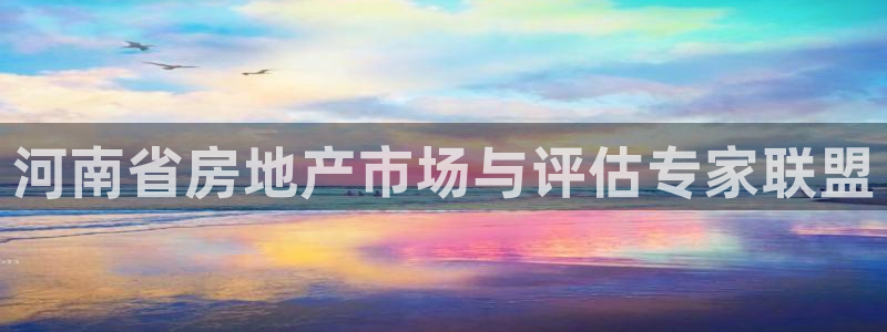 新宝5娱乐家：河南省房地产市场与评估专家联盟