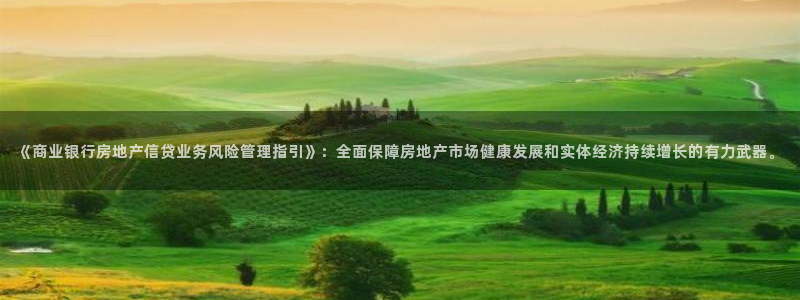 新宝5是什么：《商业银行房地产信贷业务风险管理指引》：全面保