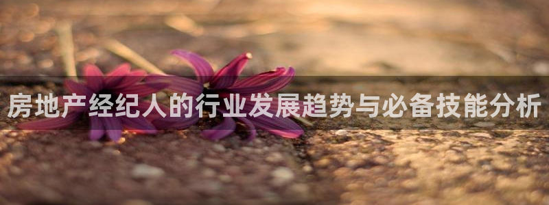 新宝5平台霸：房地产经纪人的行业发展趋势与必备技能分析