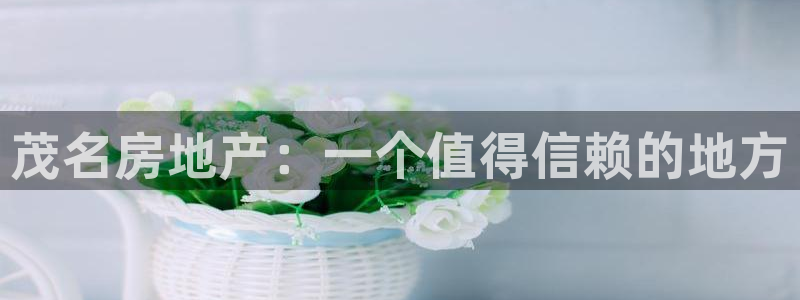 新宝5娱乐主管：茂名房地产：一个值得信赖的地方
