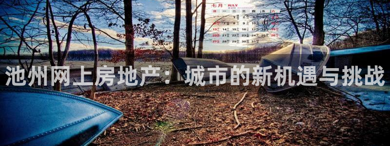 新宝5账号注册：池州网上房地产：城市的新机遇与挑战