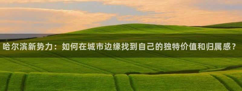 新宝股东瞧听2 5 5：哈尔滨新势力：如何在城市边缘找到自己
