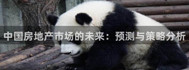 新宝5彩票平台登陆：中国房地产市场的未来：预测与策略分析