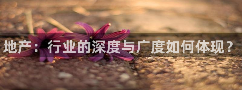 新宝5找找74OOO5：地产：行业的深度与广度如何体现？