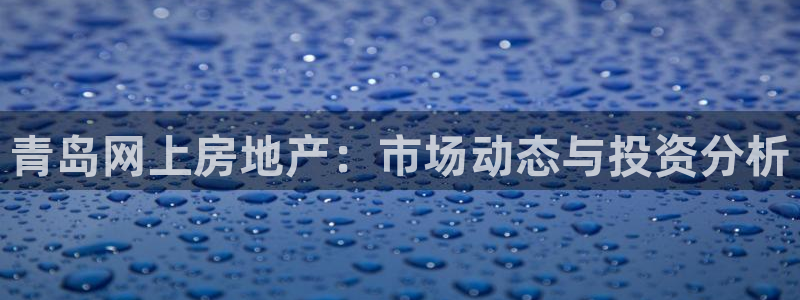 新宝新5：青岛网上房地产：市场动态与投资分析