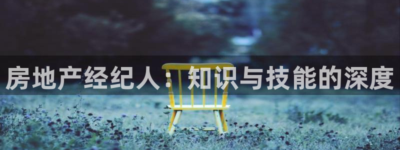 新宝5娱乐：房地产经纪人：知识与技能的深度