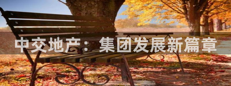 新宝xb5：中交地产：集团发展新篇章