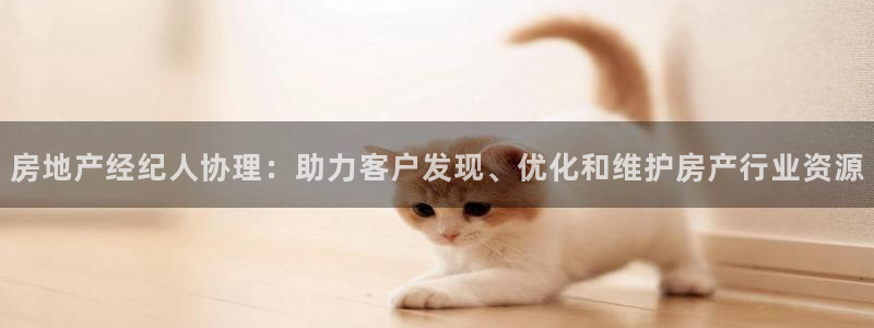 新宝6霸哥5：房地产经纪人协理：助力客户发现、优化和维护房产