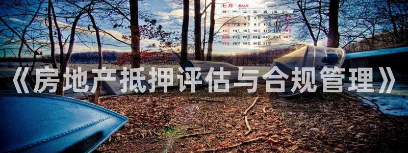 新宝5官方下载地址：《房地产抵押评估与合规管理》