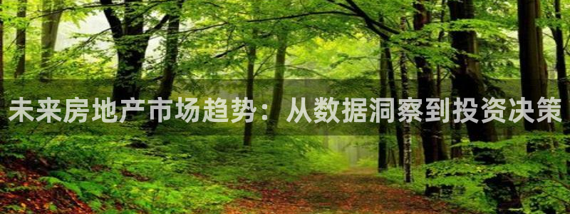 新宝5在哪里：未来房地产市场趋势：从数据洞察到投资决策