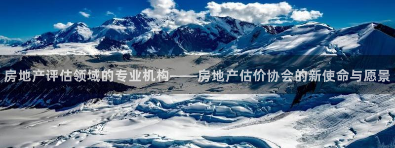 新宝5手机平台登陆：房地产评估领域的专业机构——房地产估价协