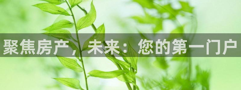 新宝奇迹GG5：聚焦房产，未来：您的第一门户