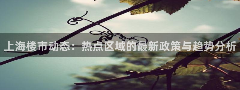 新宝5d：上海楼市动态：热点区域的最新政策与趋势分析