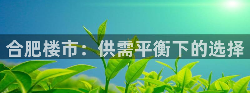 新宝5娱乐都：合肥楼市：供需平衡下的选择